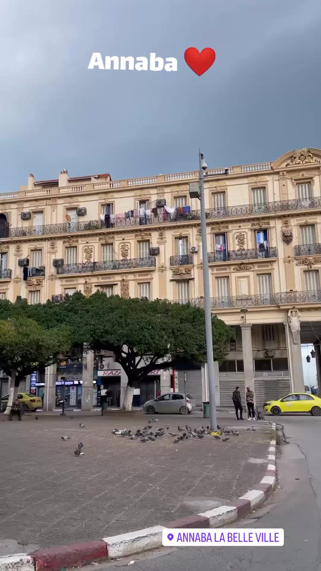 @العنابية23❤️🇩🇿🇵🇸