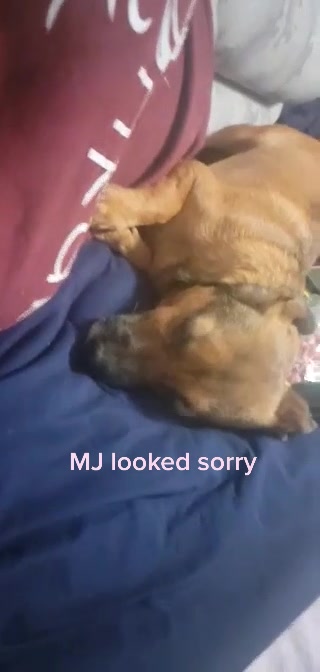@Unyik