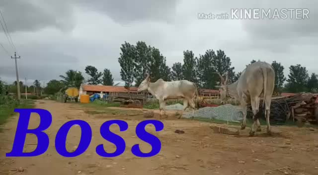 @Kiran kiru