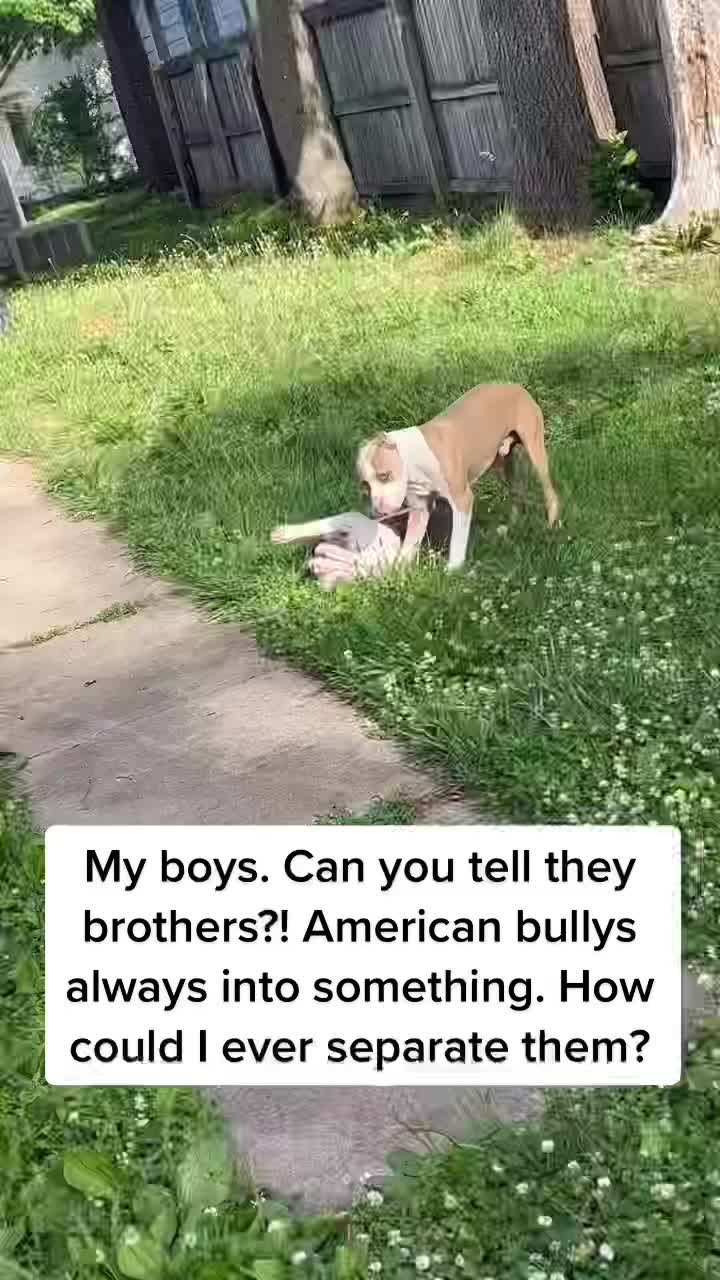 @WatchOutWhosLookin22