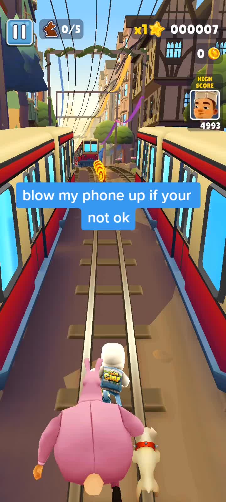 @squid