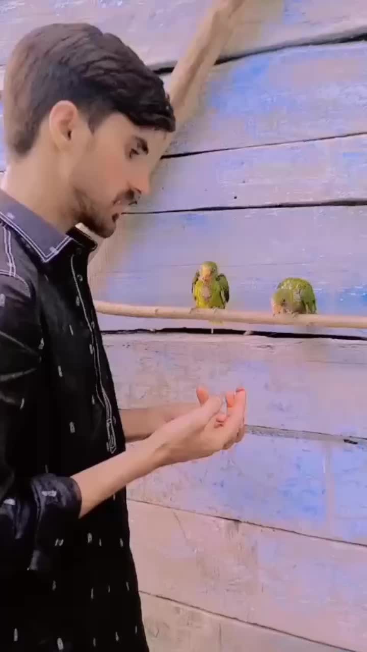@{(شفاعت کشمیری)}
