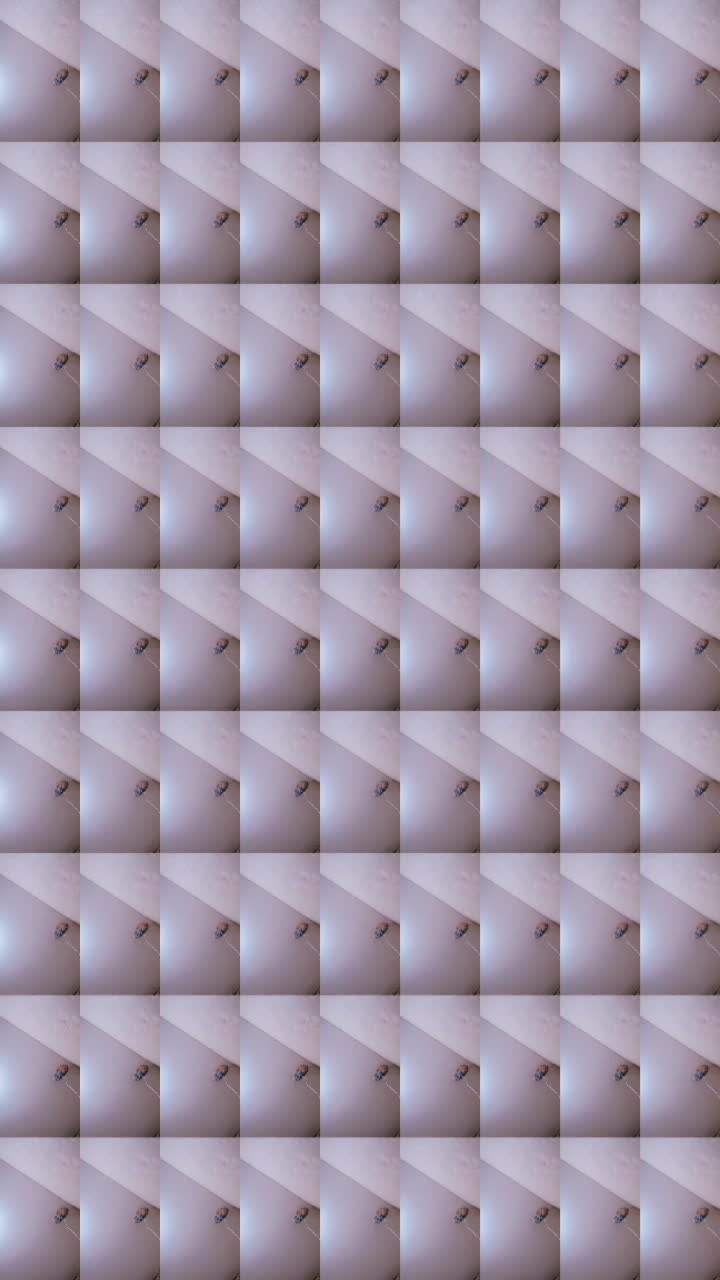 @/Ⲙυⲥⲥυⲥ Ⲅⲩⲥя\