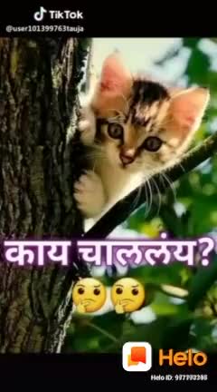 @l love you mom 14