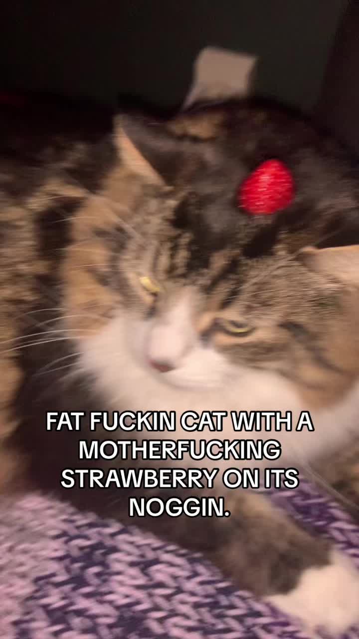 @emma🩷