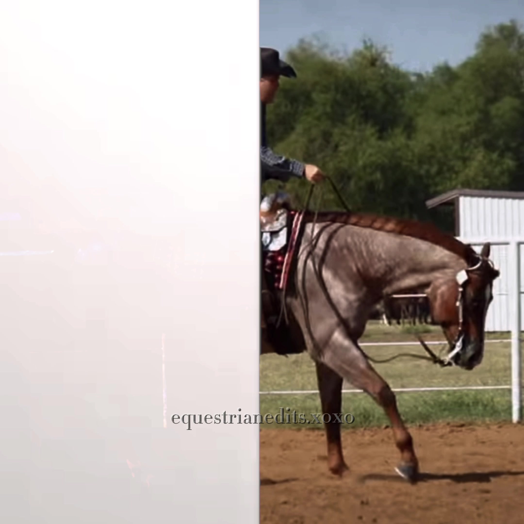 @{𐂃EquestrianEdits.X0X0𐂃}