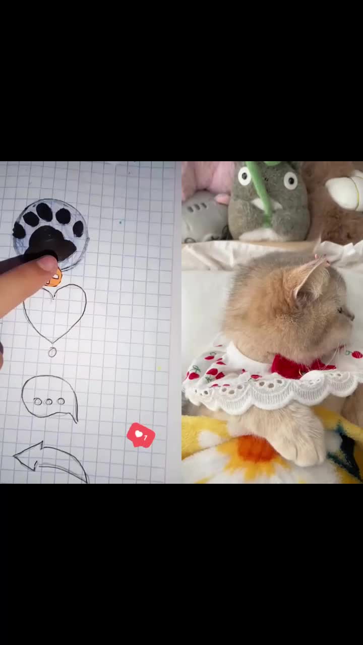 @MAX544Y54