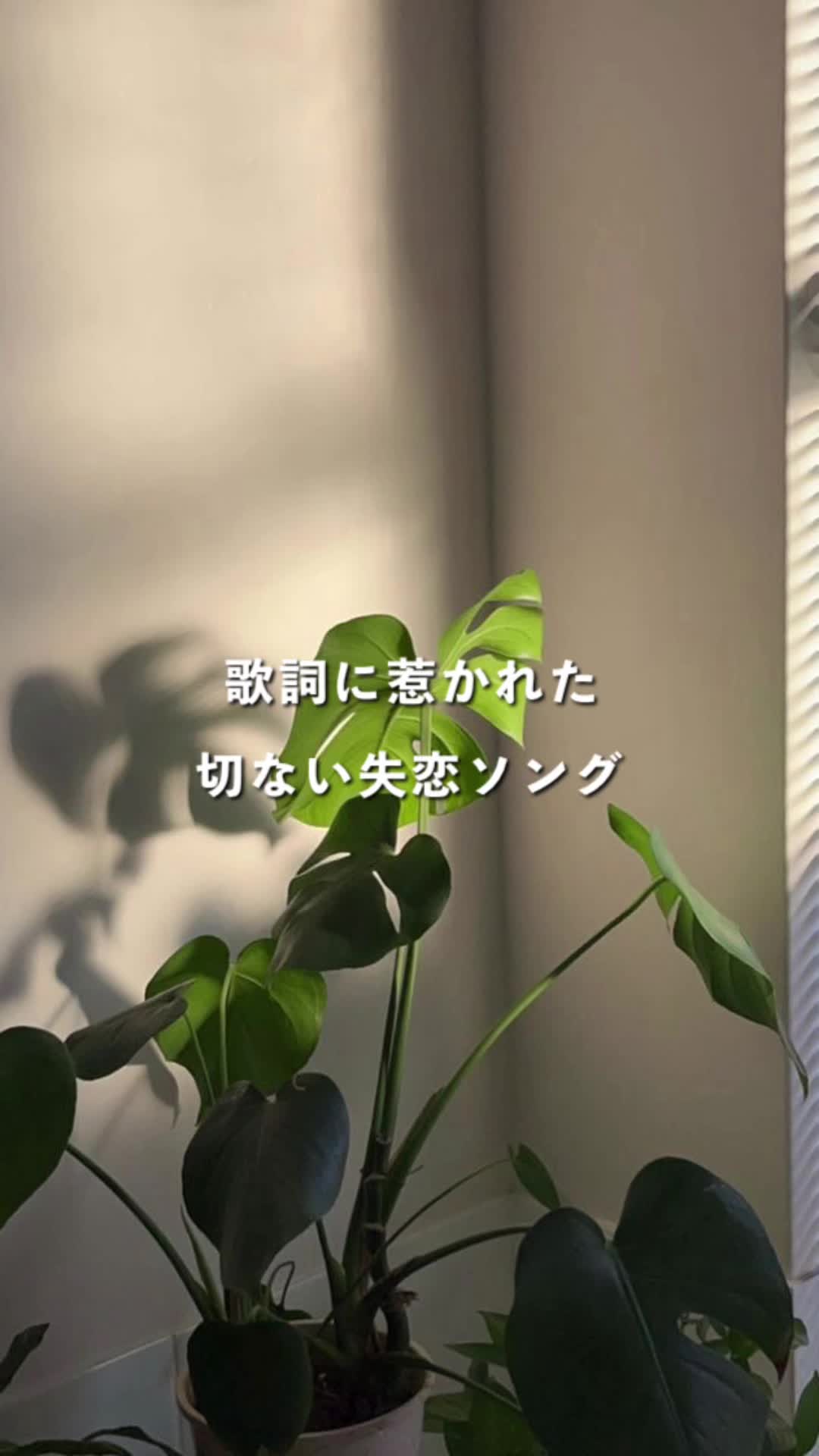 @たいが@音楽とファッション
