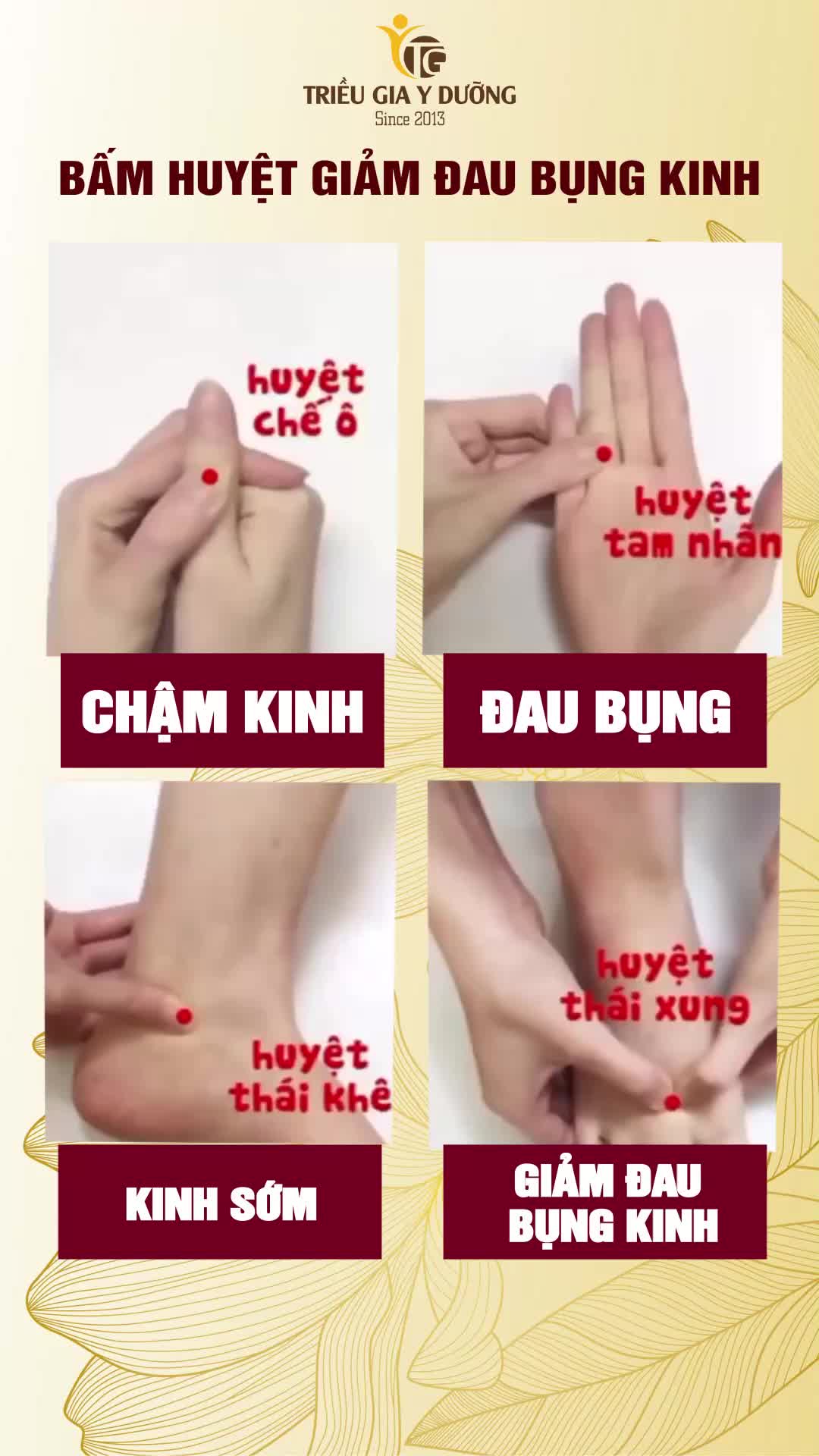 @Triều Gia Y Dưỡng