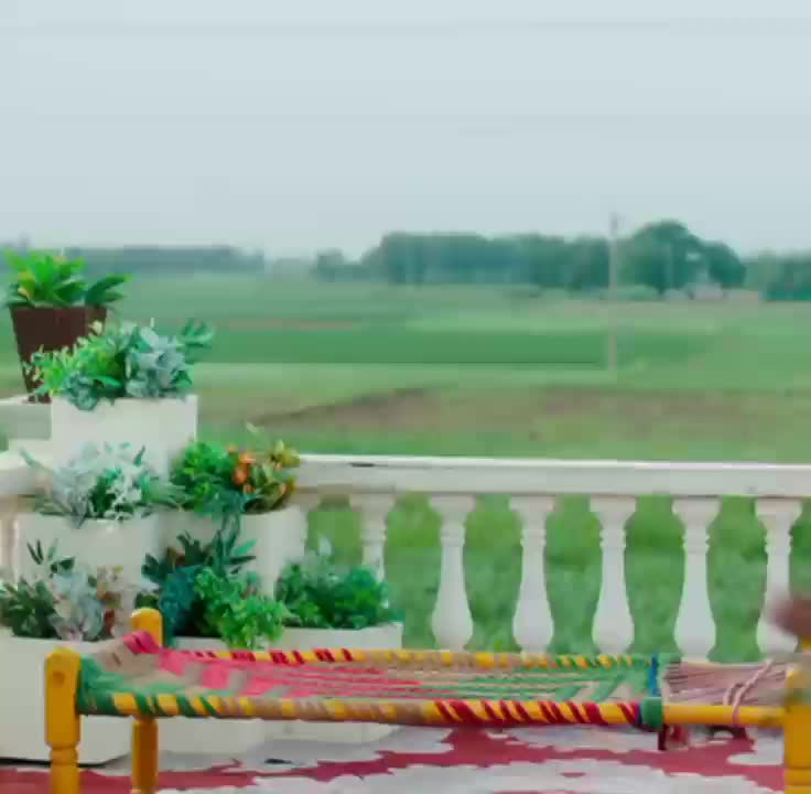 @Bollywood