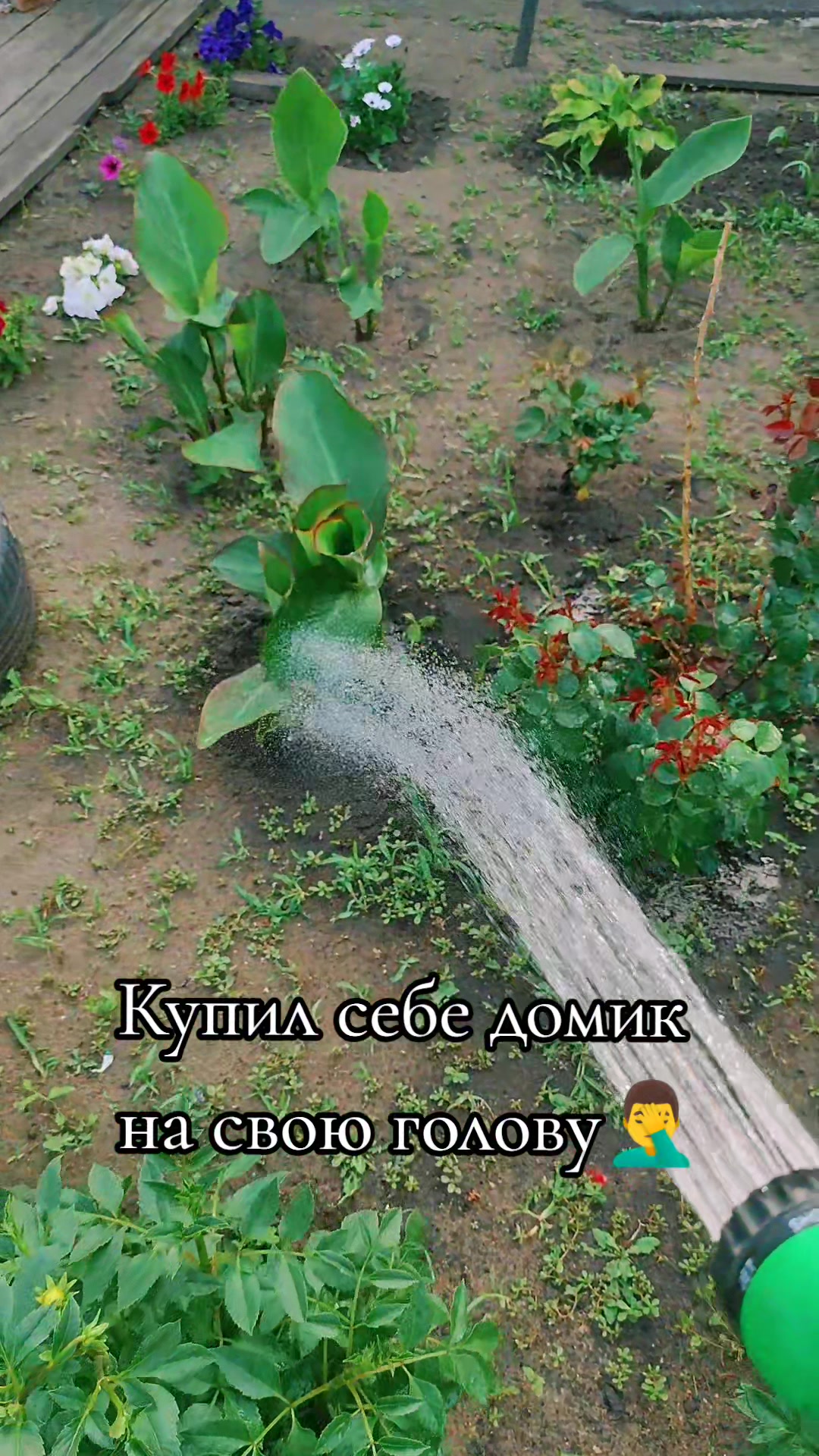 @Videograph Nikolay