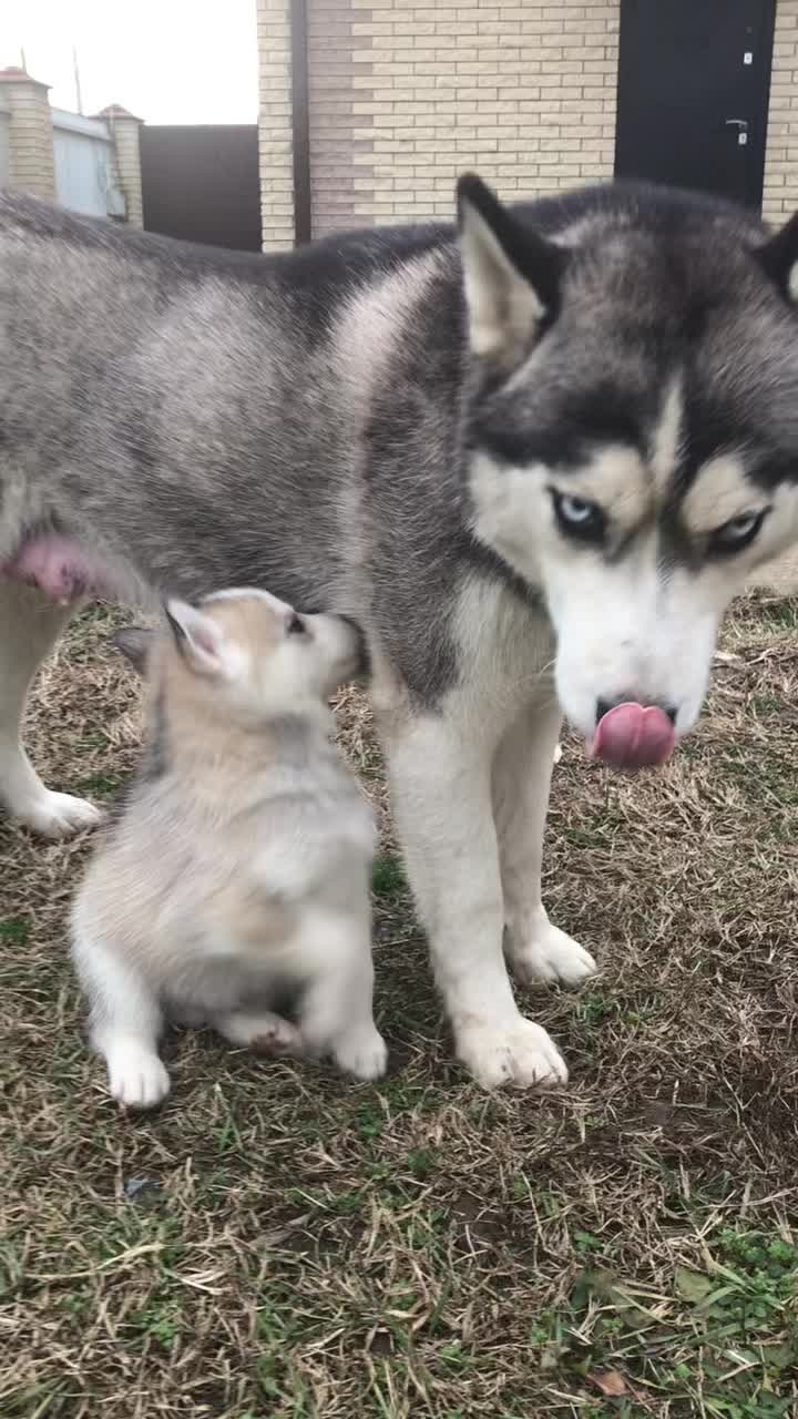 @МОНАВЛЮ