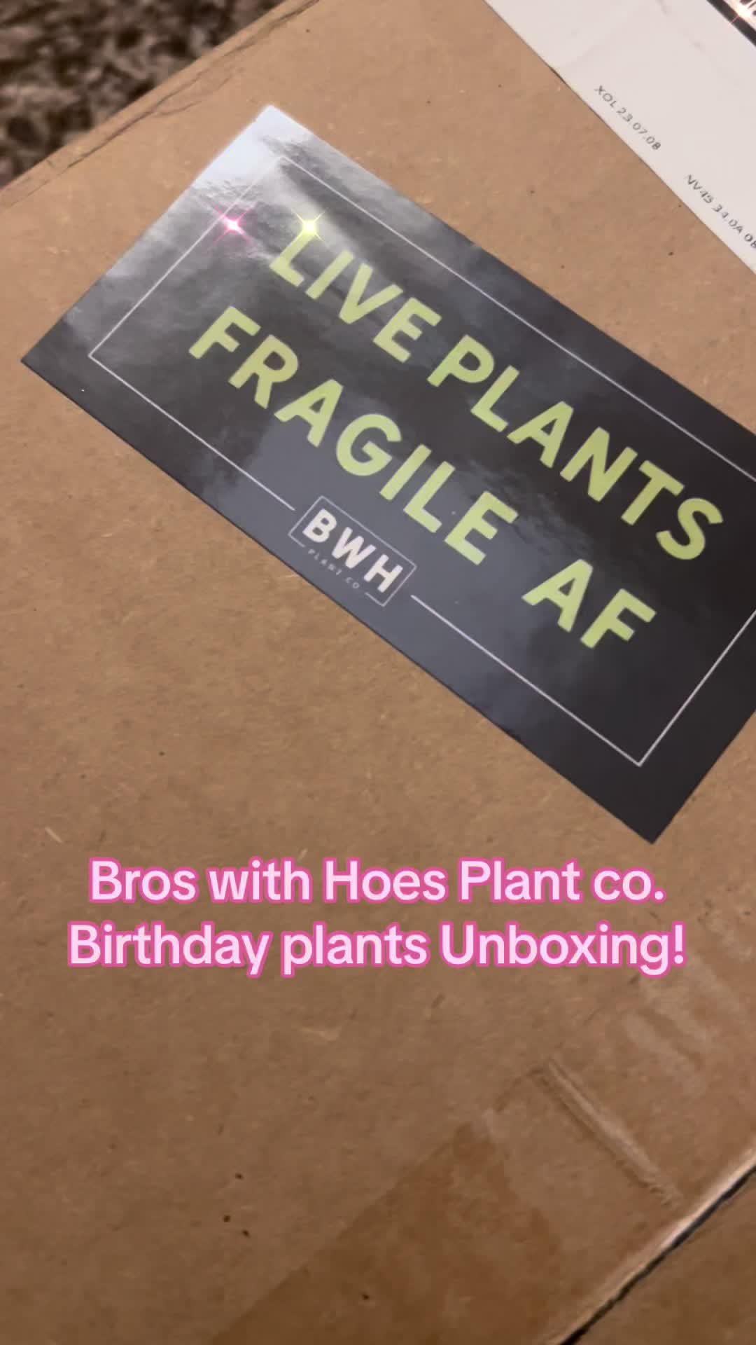 @Alorasaurus
