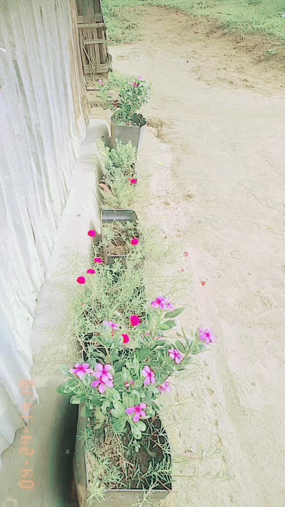 @Niha Aktar