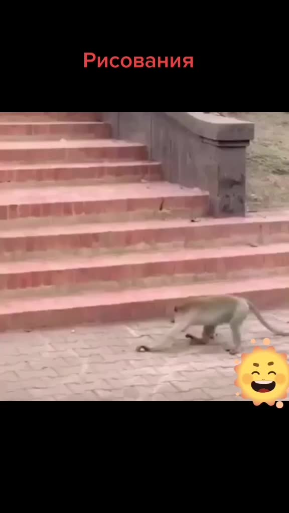 @IGOR 6899993