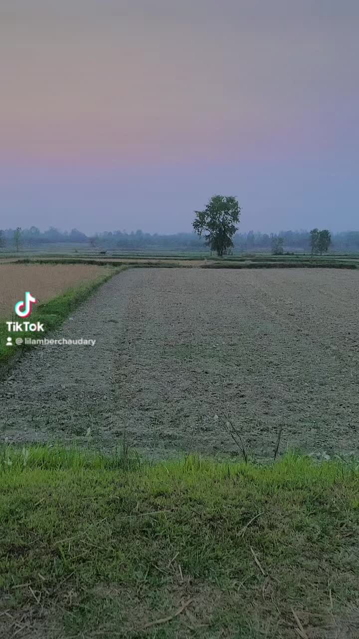 @Lilambarkumar