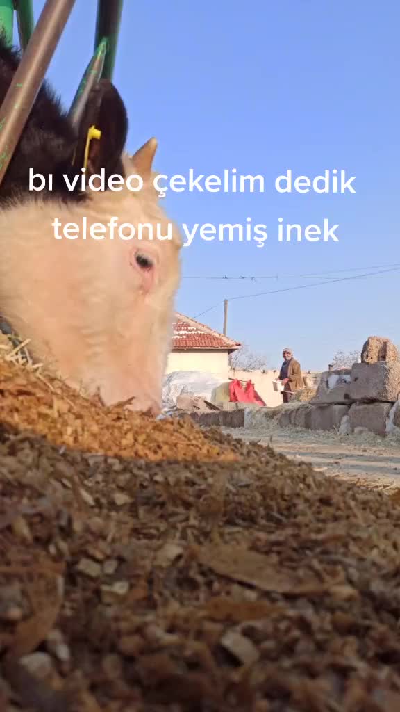 @Ekrem Ince