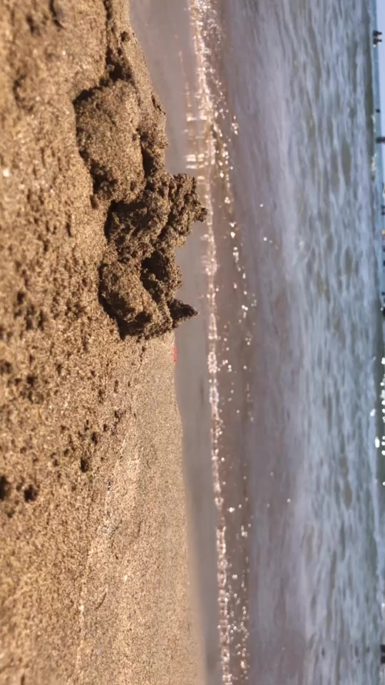 @sadecebasakk