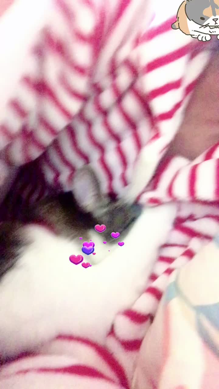 @rinyumi