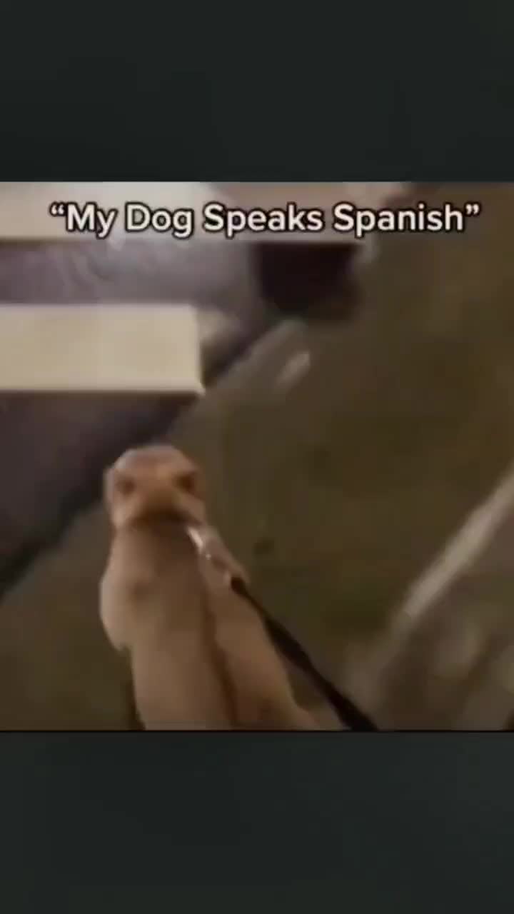 @fyygg12
