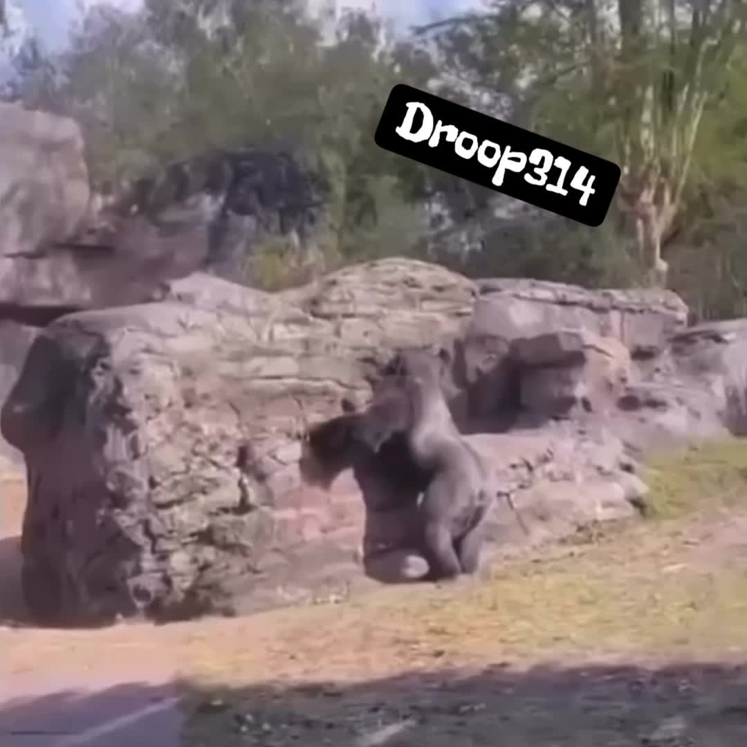 @Droop314