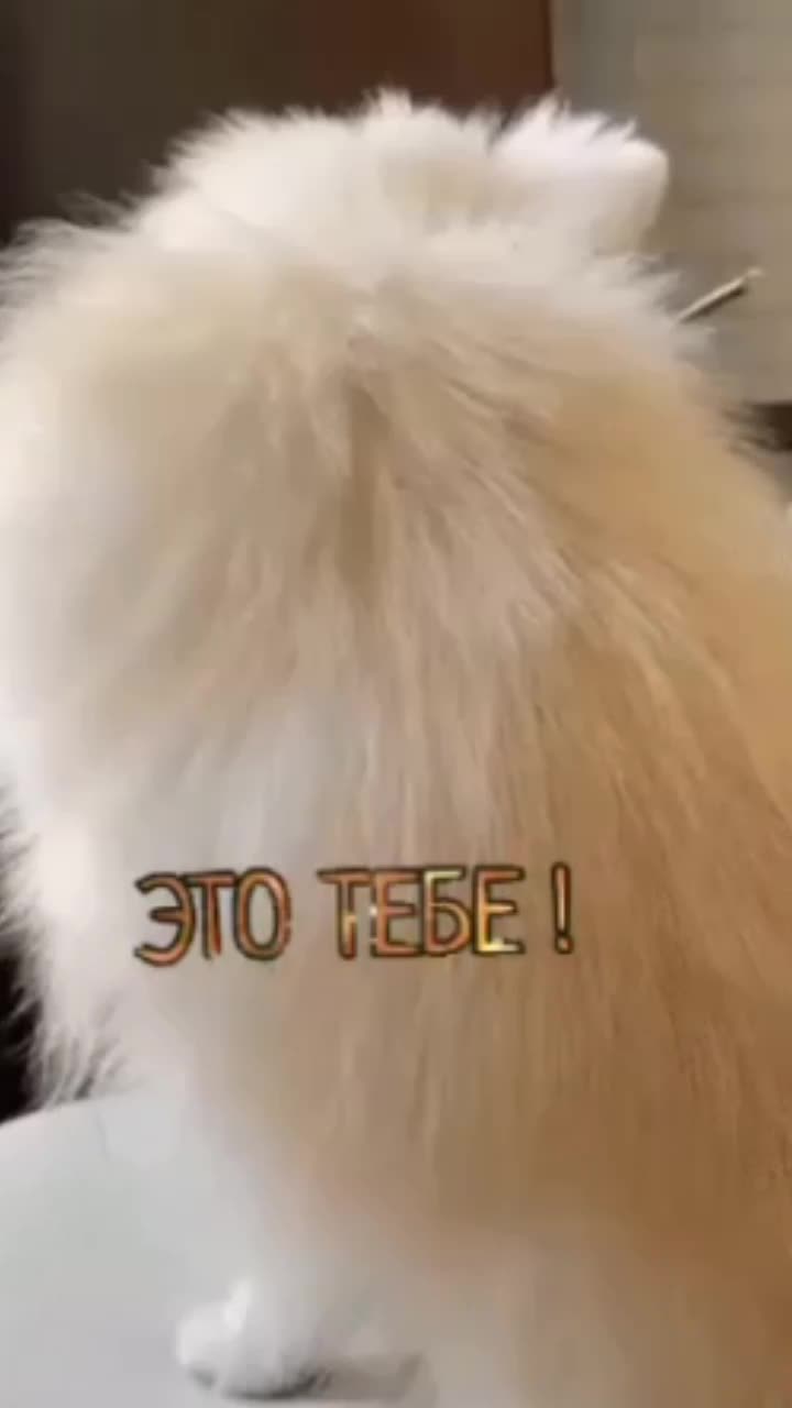 @" НИКА" 🙌ДоБрАя