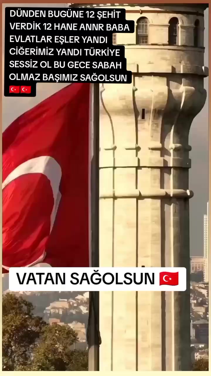 @🦅🇹🇷🐺 BOZKURT ASENA🐺🇹🇷🦅