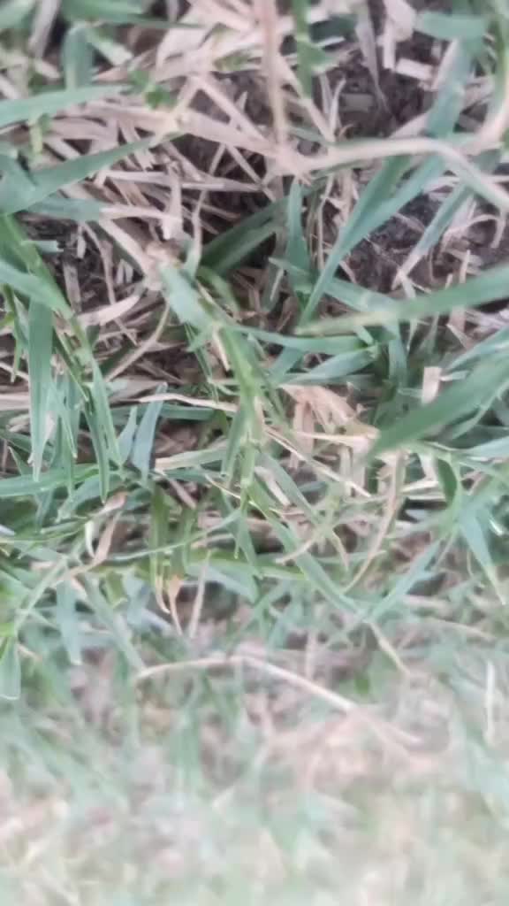 @Ankit Khanna Saab