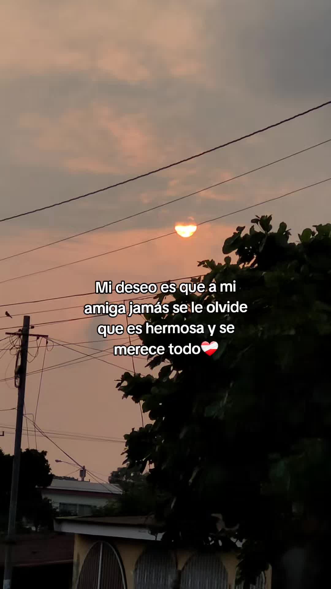 @𝓓𝓪𝓷𝓲𝓮✨️