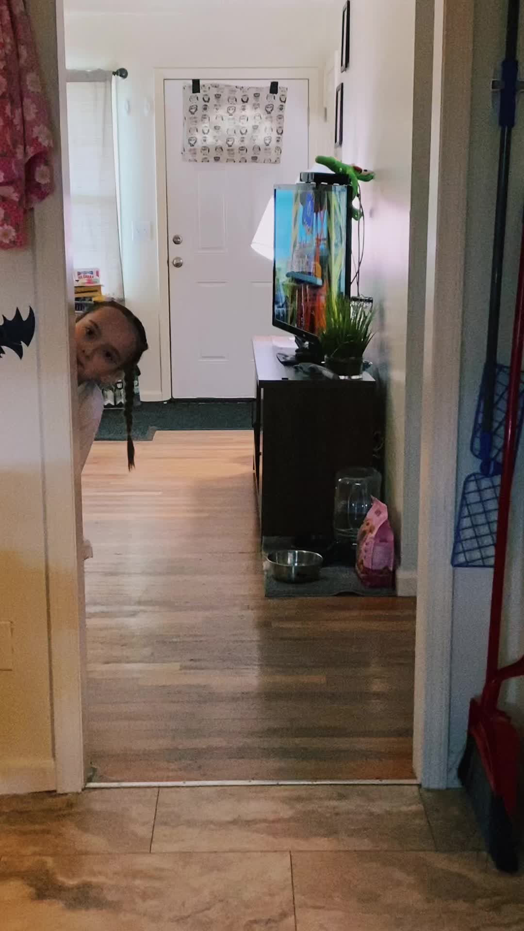 @ShadyCatt