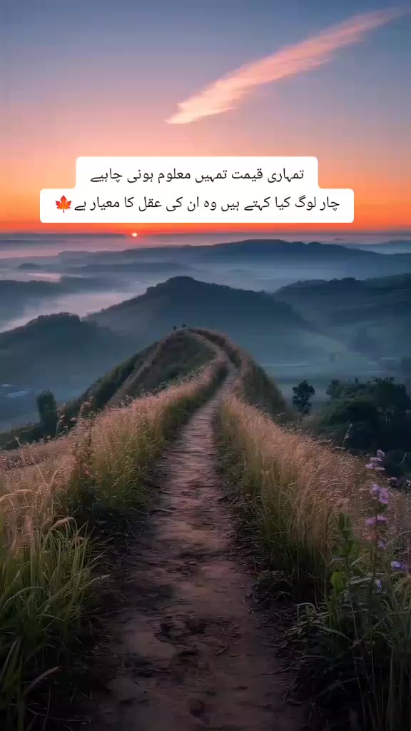 @Kainat Ch