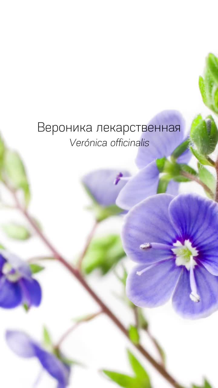 @Juliya Afoshina