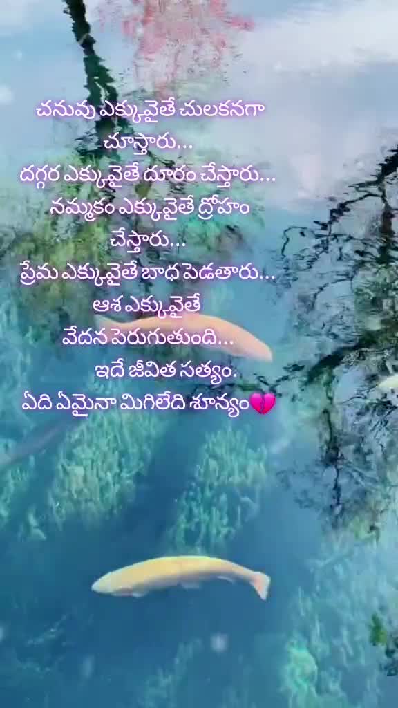 @𝓻𝓪𝓿𝓲𝓼𝓱𝓻𝓾