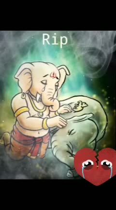 @swathi reddy 225