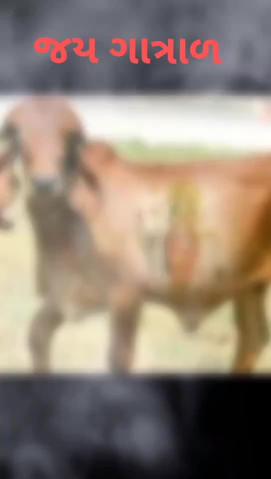 @🙏🐄જય દ્વારકાધીશ🐄