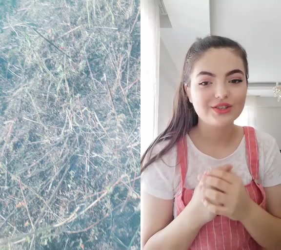 @Cemal Aygün