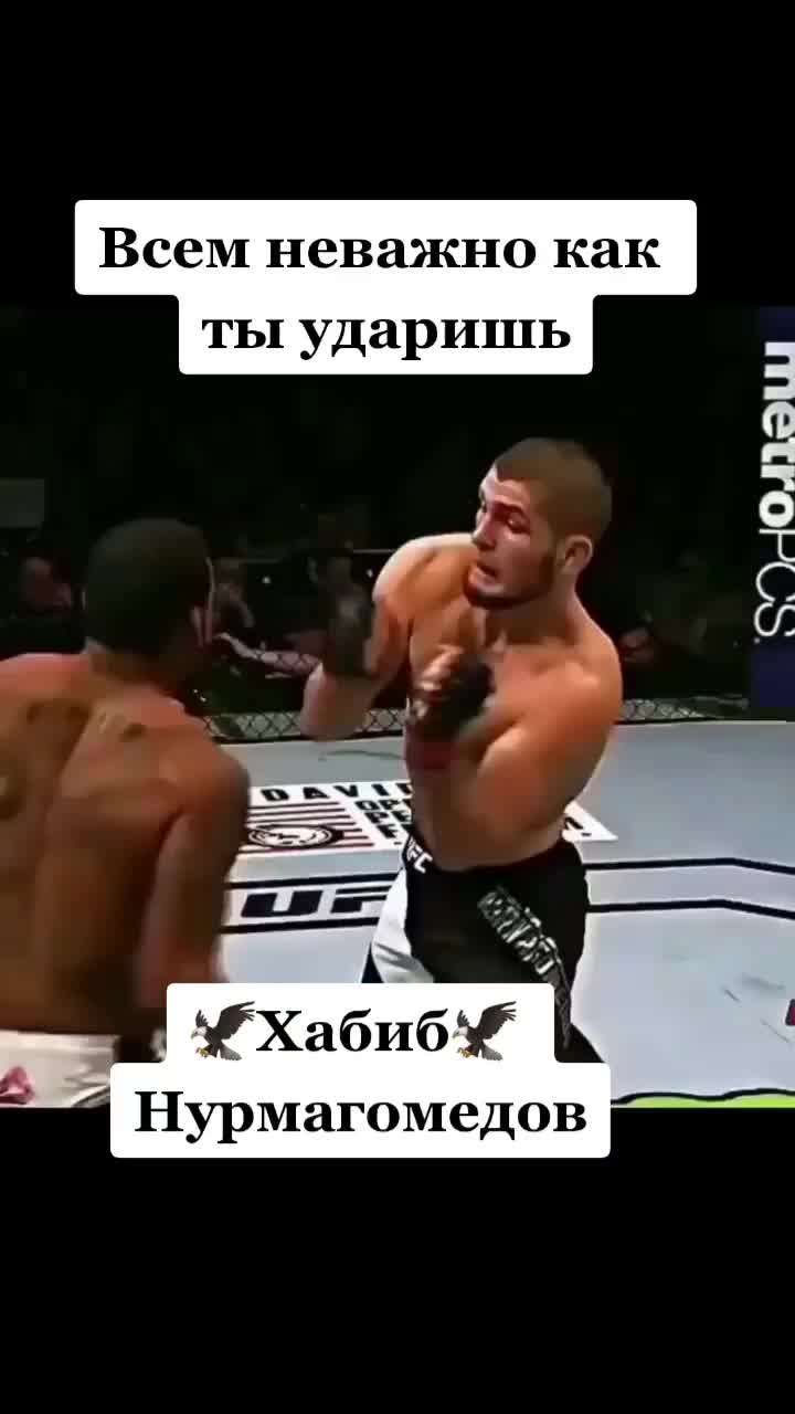 @Maga