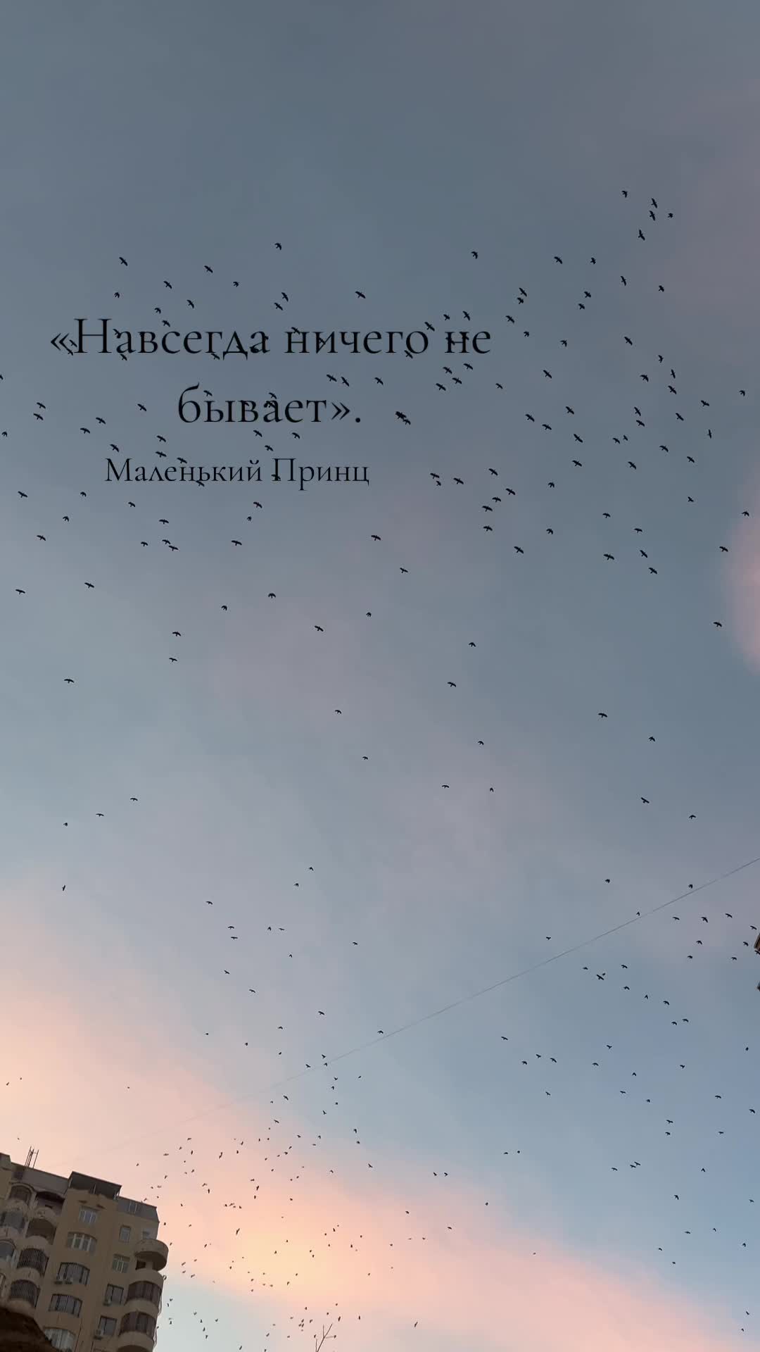 @Mylifeni