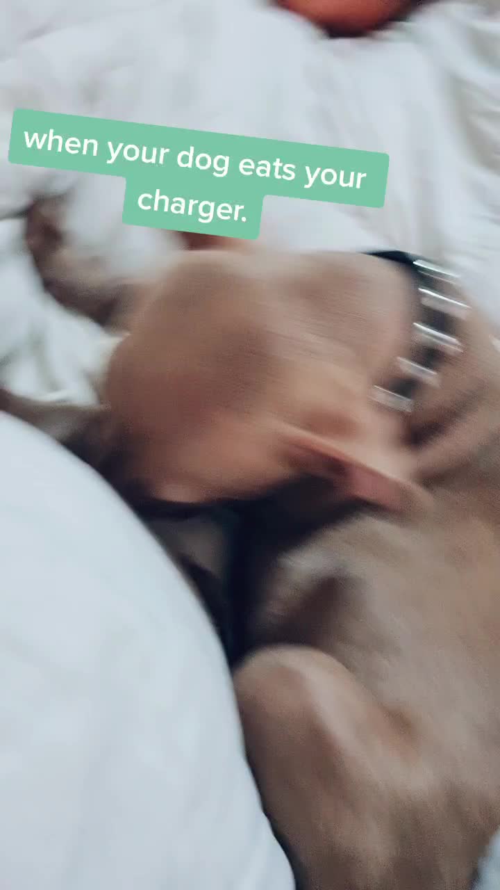 @JAYJAYS