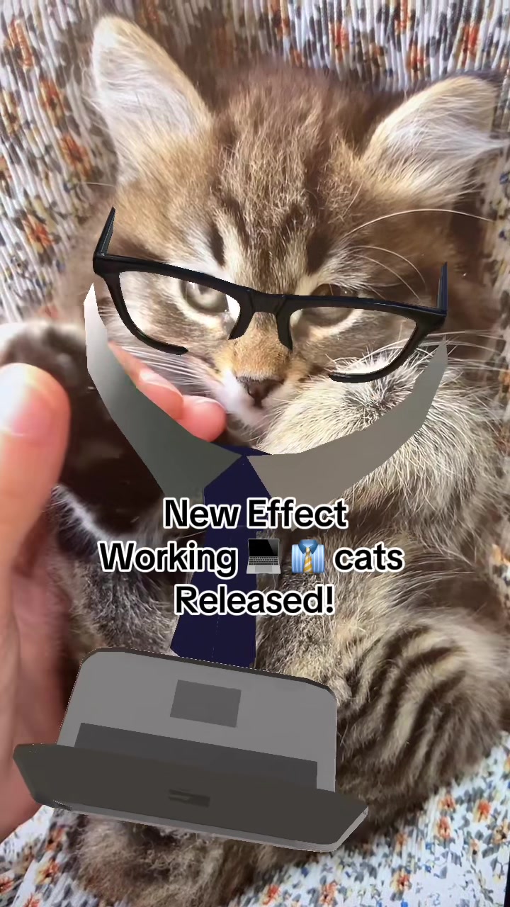 @Rinco Mahalo | Effect Creator