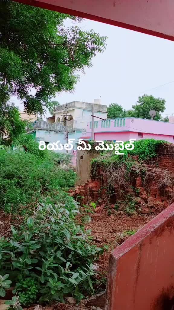 @ammu