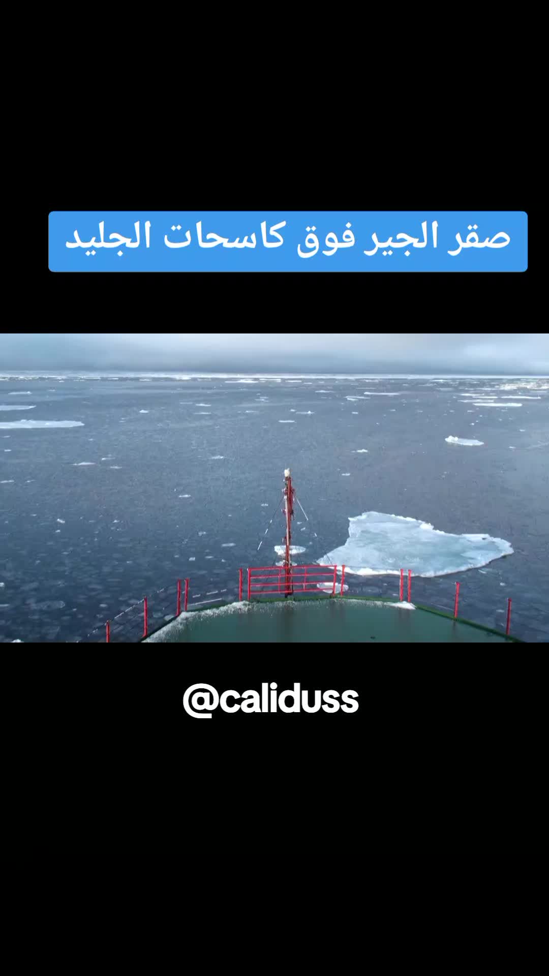 @الشاهين البحري🇲🇦