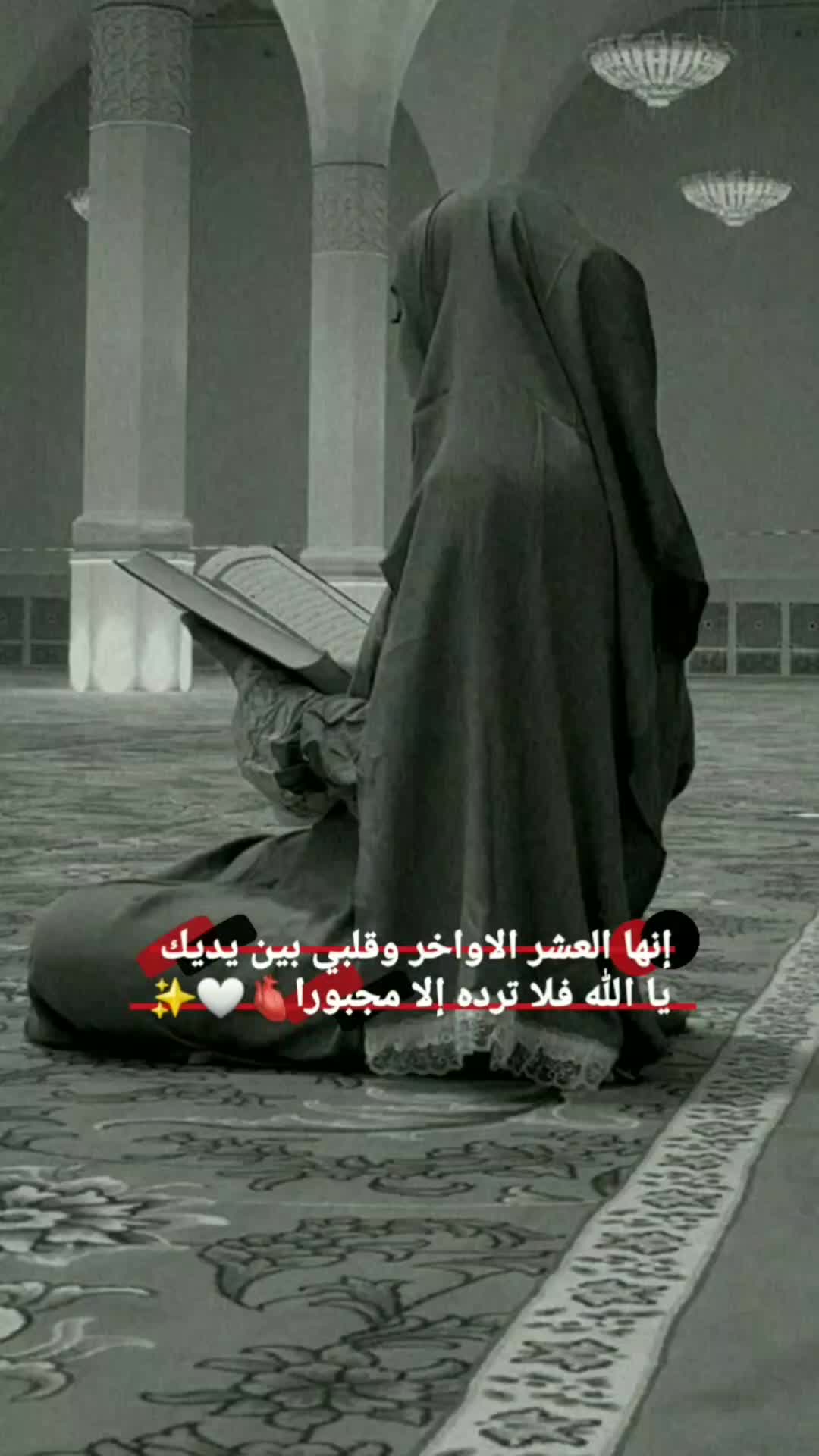 @اميـᬼ👑⑅⃝⍣ᬼـرتكم
