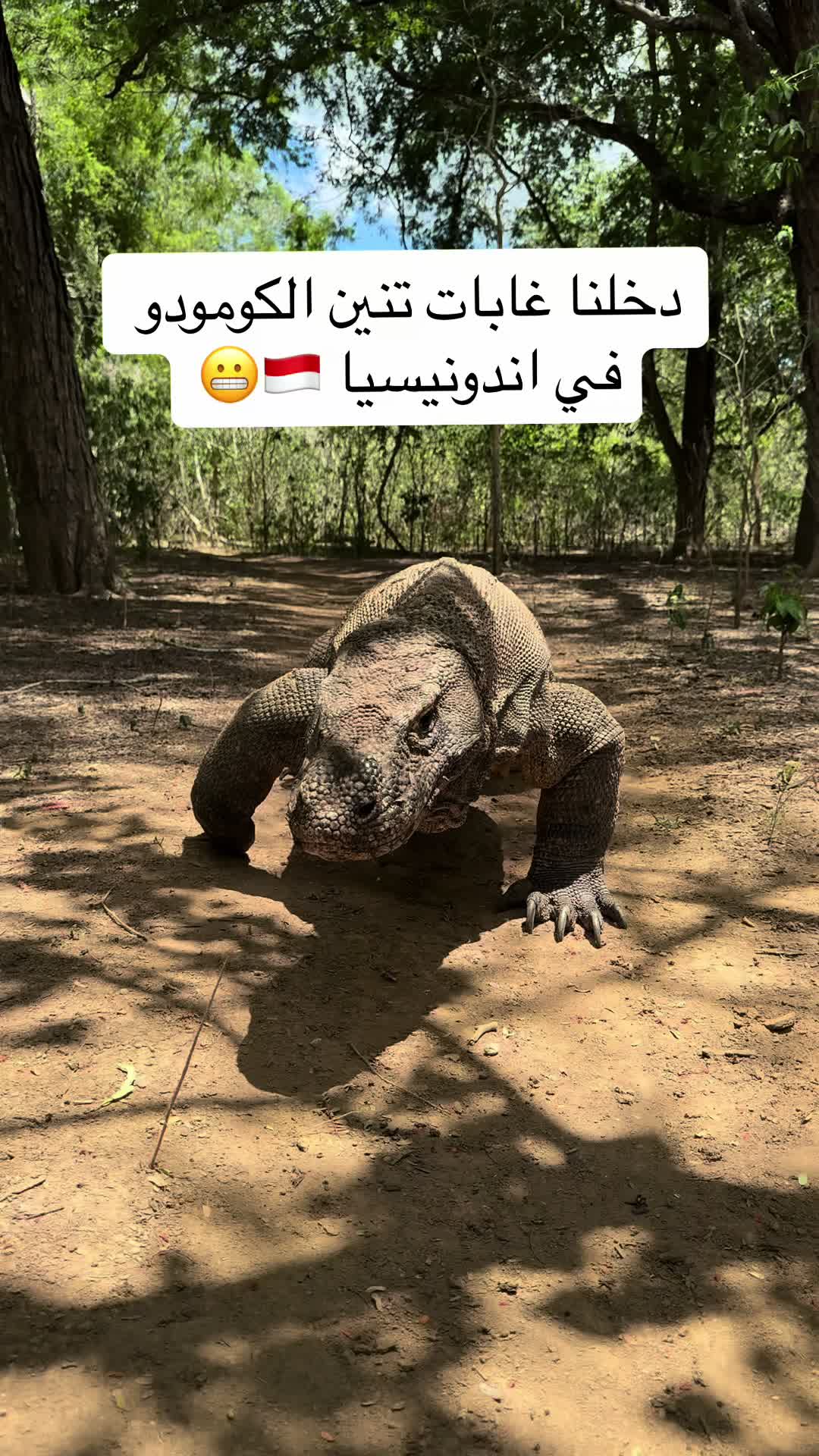 @أسامه الشريف