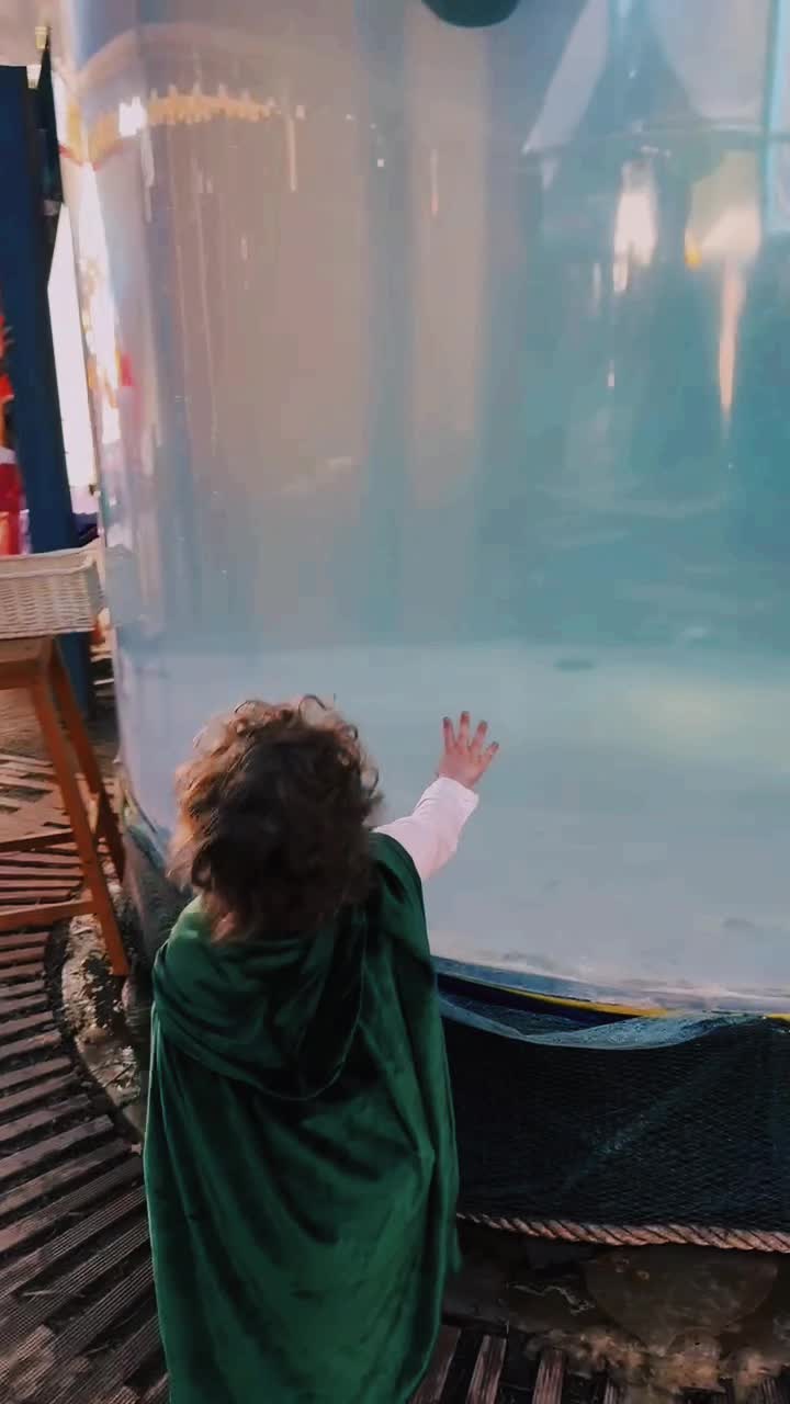 @Mermaid Cassie | Fizzer Wizard
