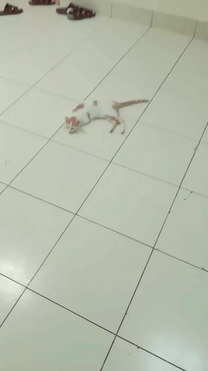 @Ƭ&sigma;Ɯɧɨԃ_ɨ𝖘Ɩ&alpha;𝖒