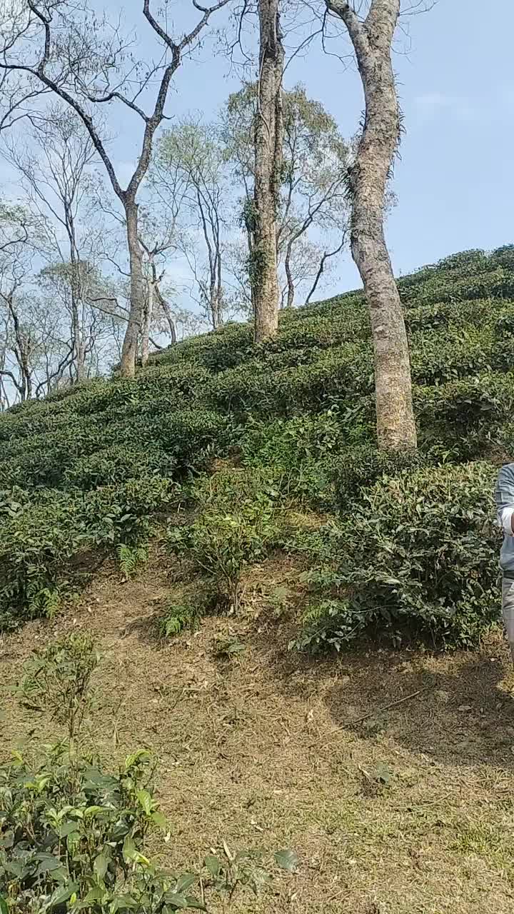 @Rajkonna