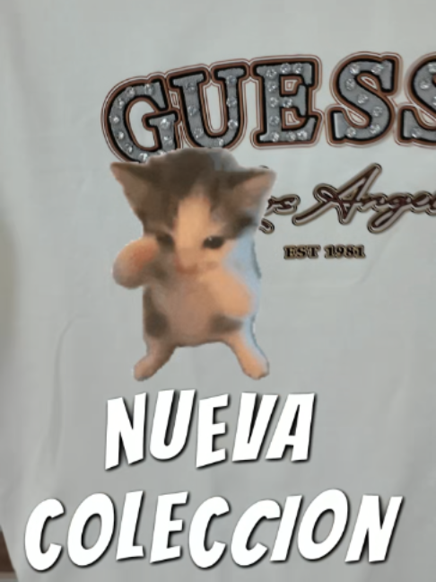 @dygmodayestilo