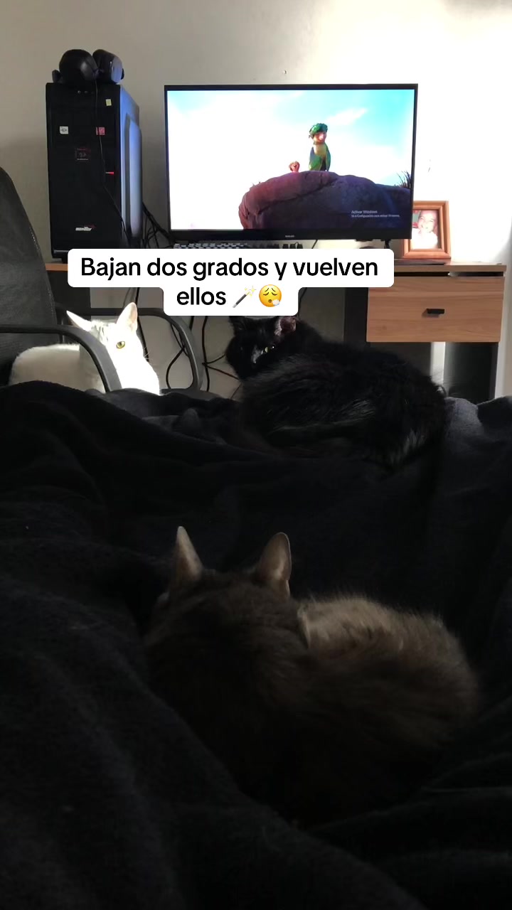 @Leli 🦂 🖤