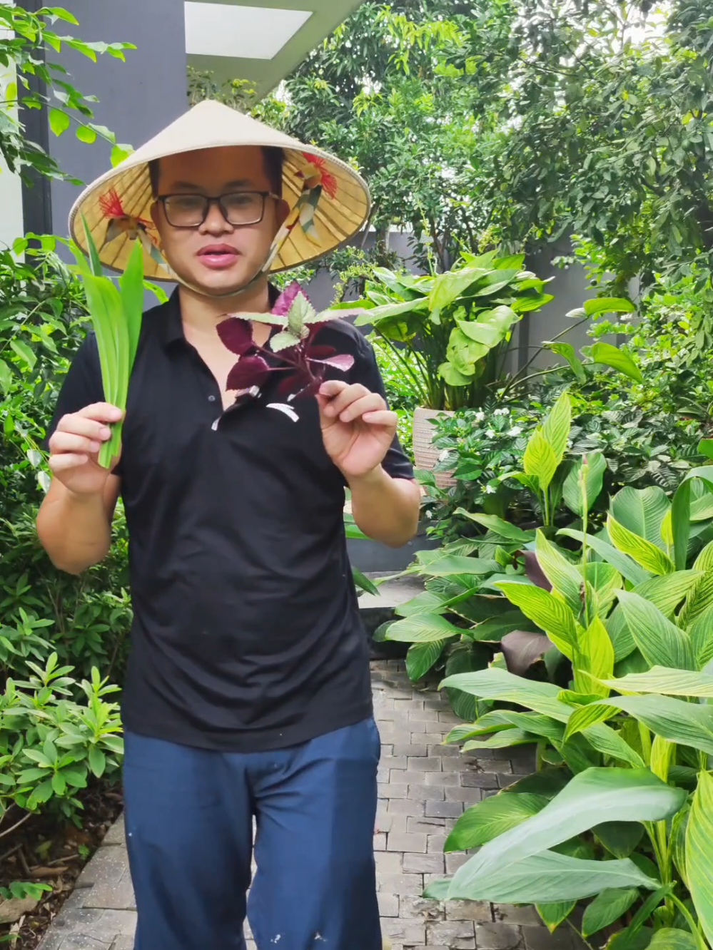 @Dược sĩ cỏ
